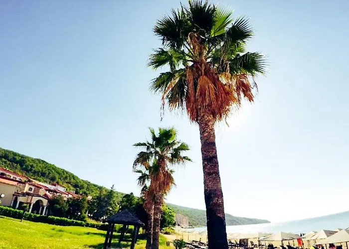 William's - Cute Lejlighed Sveti Vlas