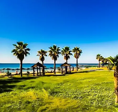 William's - Cute Apartamento *