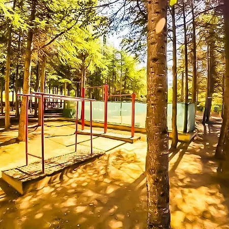 Apartamento William's - Cute